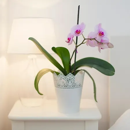 Apartamento Santana Studio W/ Balcony Lisboa